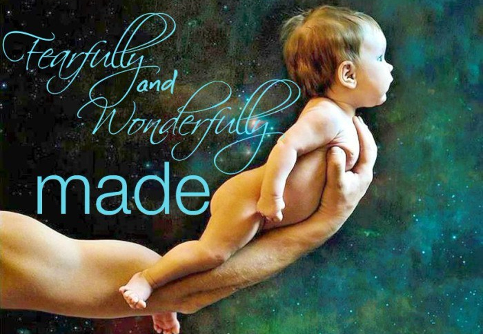 psalm-139-14-feafully-and-wonderfully-made