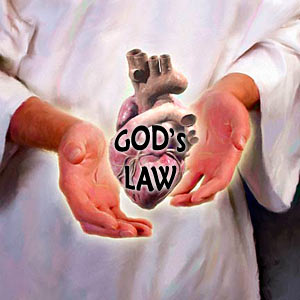 gods-law-on-heart